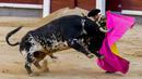 Matador Antonio Ferrera saat adu banteng di arena adu banteng Las Ventas, Madrid, Spanyol, Minggu (4/7/2021). Adu banteng ini berlangsung di tengah pandemi virus corona COVID-19. (AP Photo/Manu Fernandez)