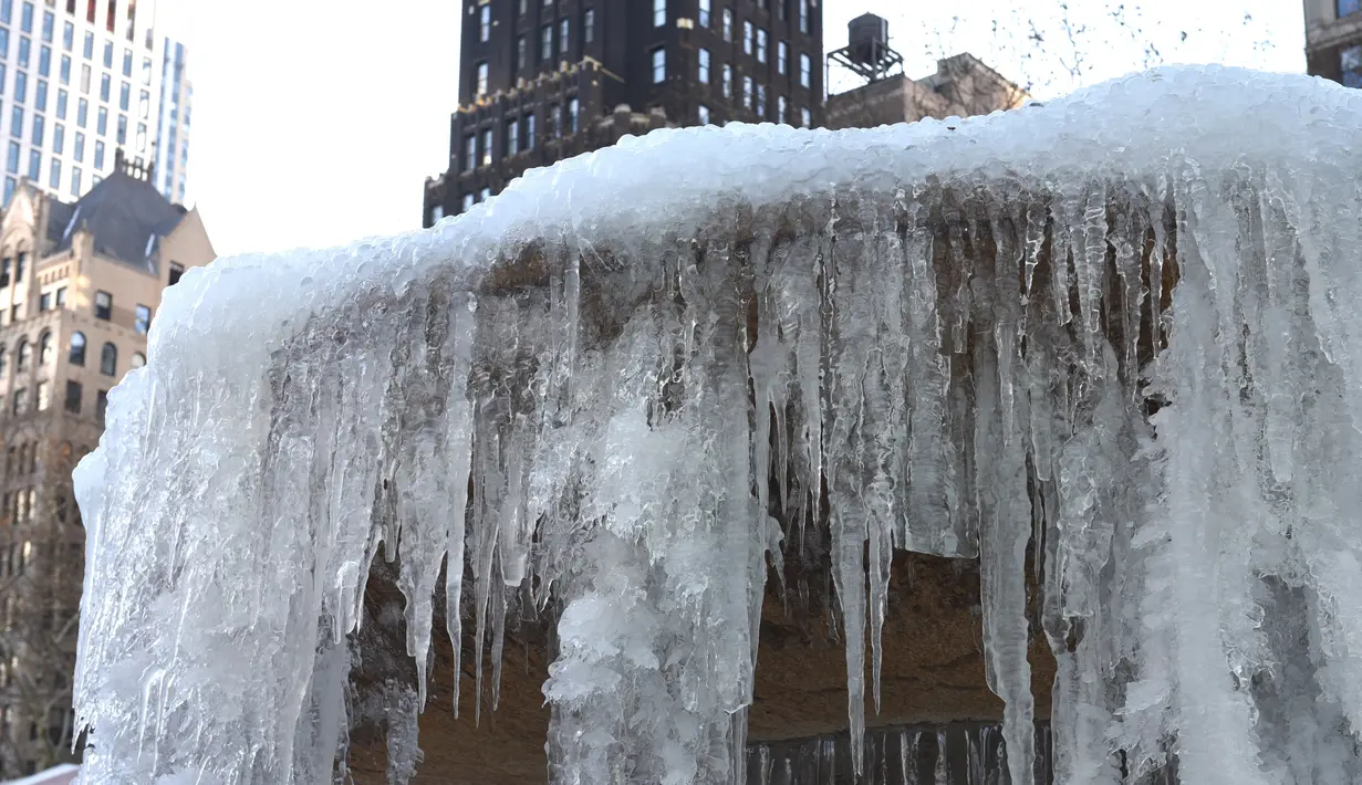 Kondisi air mancur Josephine Shaw Lowell yang membeku di Taman Bryant, New York, Selasa (2/1). New York dan sejumlah wilayah di AS disebutkan mengalami tahun baru terdingin sejak 1960-an dengan suhu mencapai minus 12 Celsius (AFP PHOTO / TIMOTHY A. CLARY)