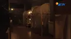  Di Madrid, Spanyol, yang memang memiliki budaya siesta (tidur siang) ada bar khusus untuk tidur siang bagi pekerja.