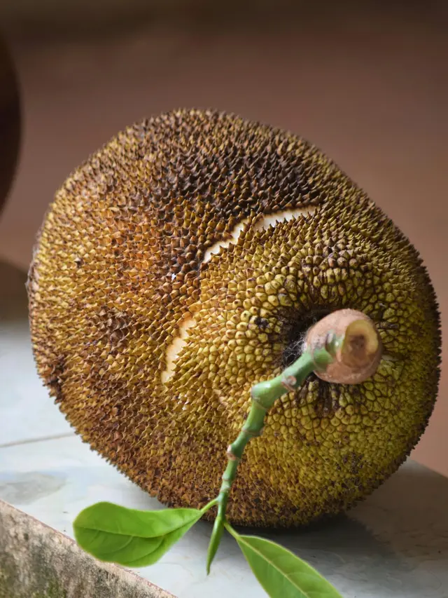 Buah Nangka
