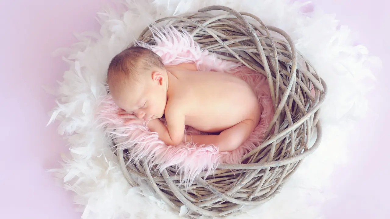 Contoh ilustrasi newborn photoshoot