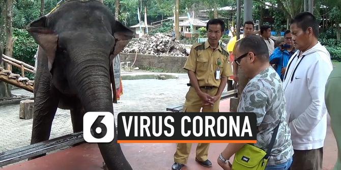 VIDEO: Virus Corona, Lokasi Wisata Puncak Ramai Pengunjung