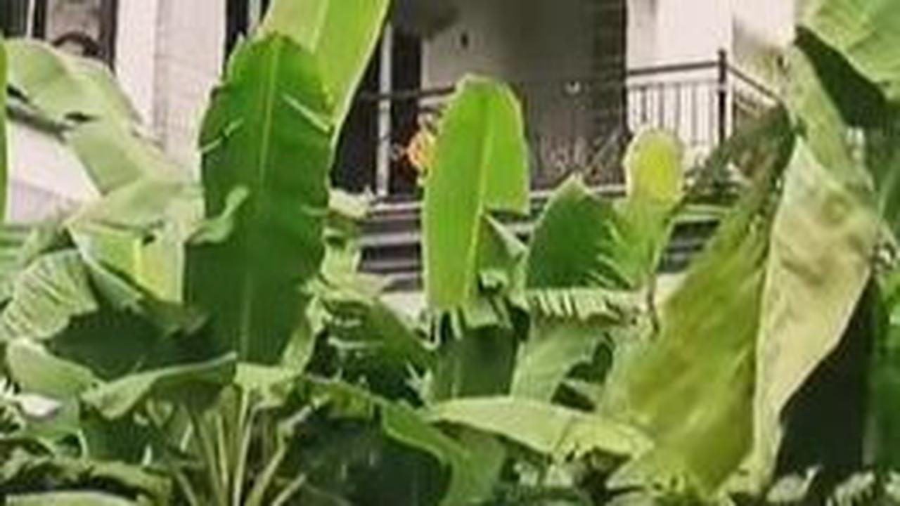Penampakan Bagian Depan Rumah