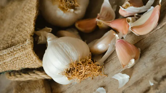 Meningkatkan Daya Tahan Tubuh dan Melawan Infeksi