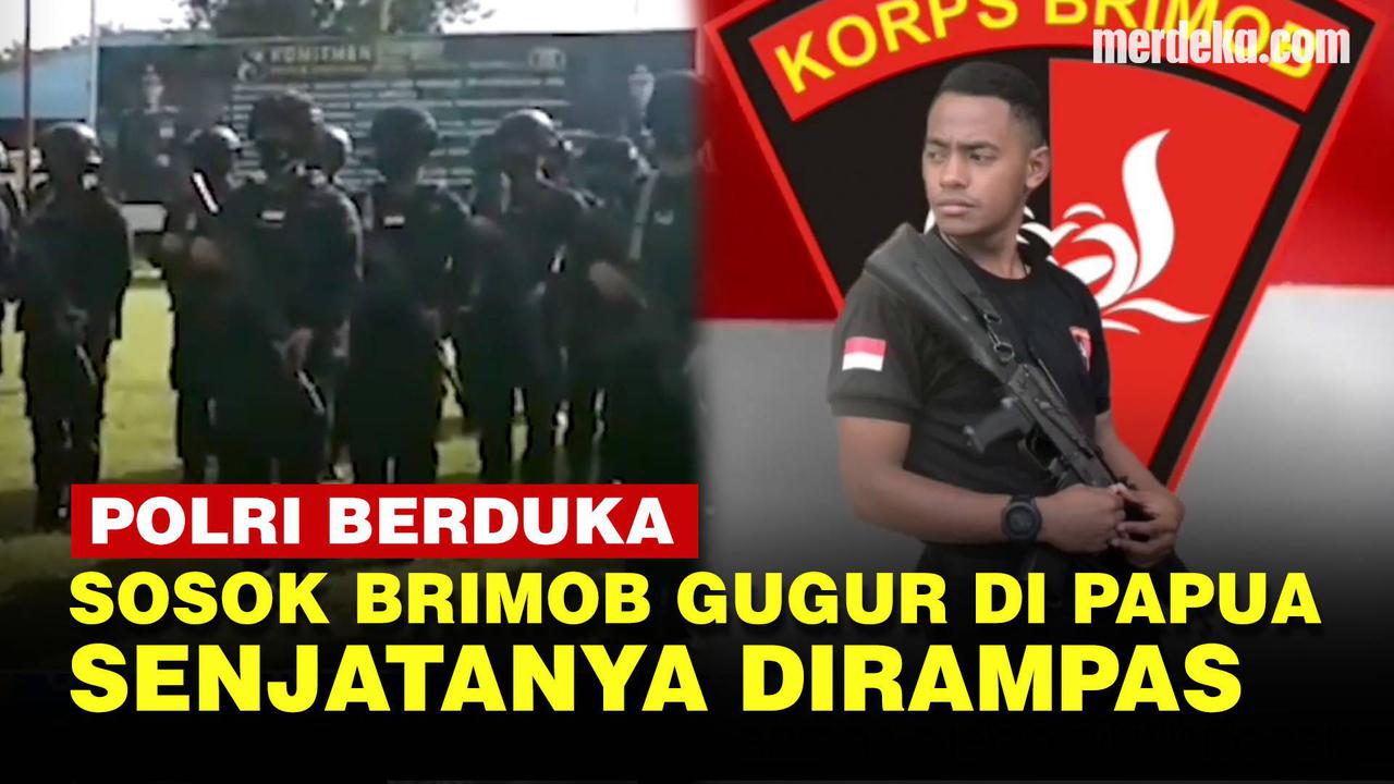 VIDEO: Kronologi Brimob Gugur Dianiaya & Senjatanya Dirampas, Pelaku Diduga KKB