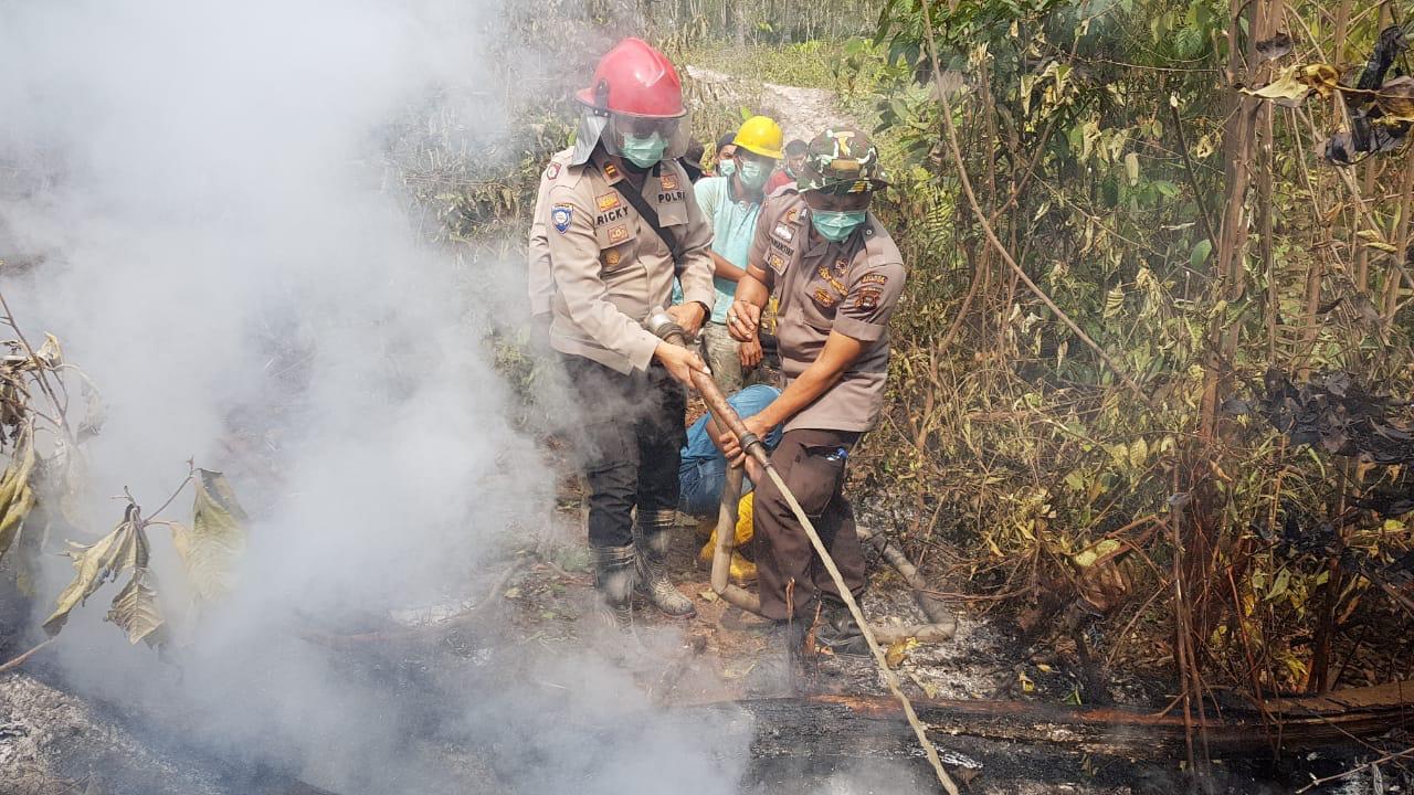 Rincian Gaji Polisi Hutan di Indonesia per Bulan