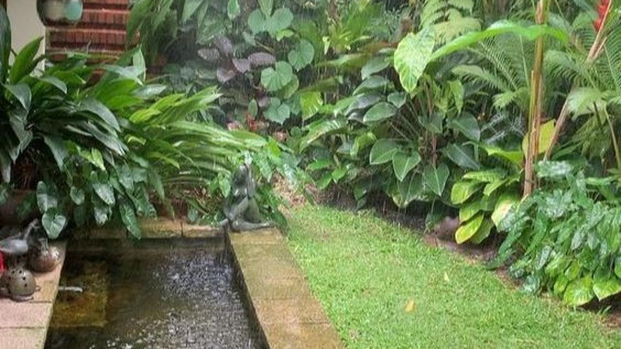 Taman dengan Elemen Air Kecil