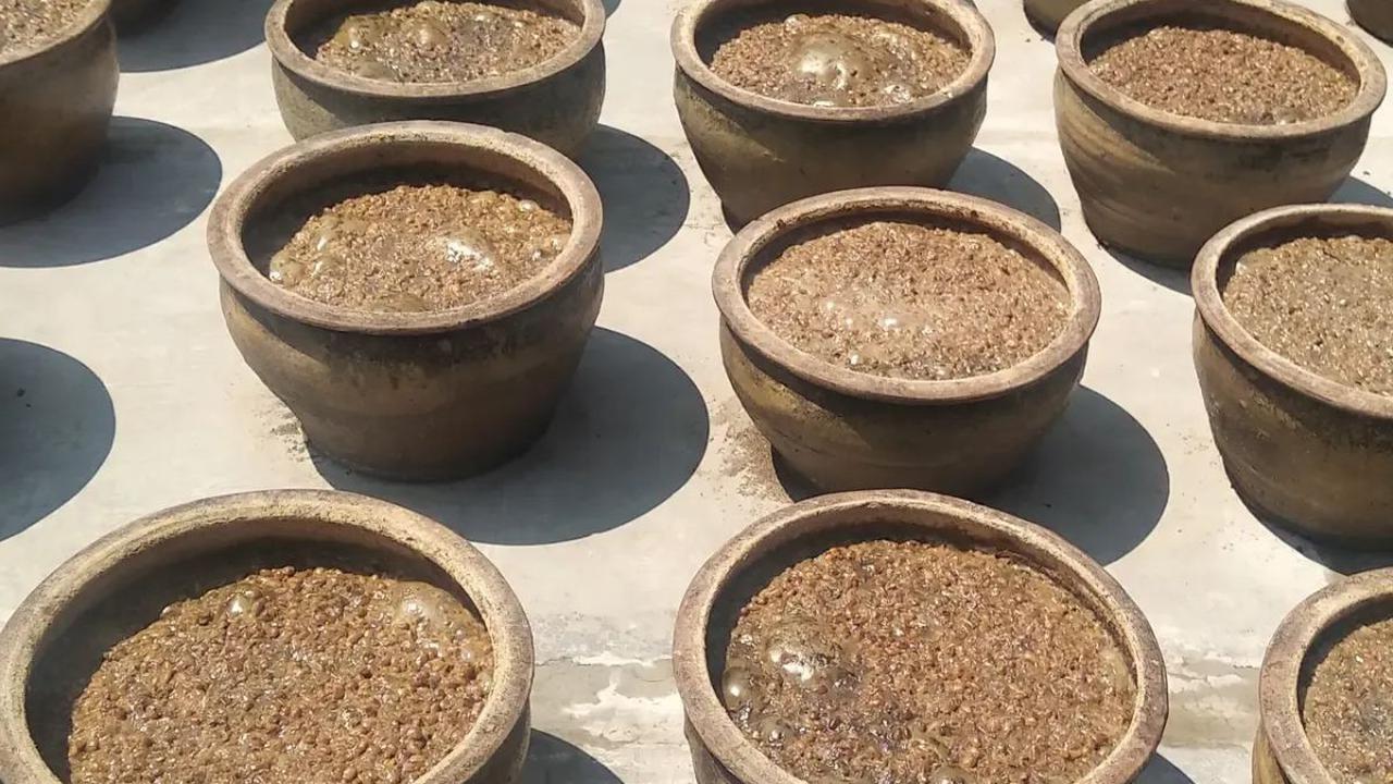 Berasal dari warisan warga Tionghoa
