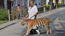 Pemilik dan pelatih hewan sirkus, Jaromir Joo saat mengajak harimaunya yang bernama Taiga berjalan-jalan di Letovice, Republik Ceko, 30 Agustus 2015. (AFP PHOTO/Radek MICA)