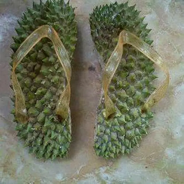 6 Sandal Jepit dari Kulit Durian Ini Bakal Bikin Kakimu Sakit, Berani Coba?