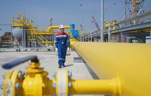 Membandingkan Harga BBM yang Dijual Shell Indonesia dan Pertamina, Siapa Lebih Murah?