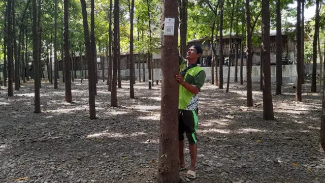 Petugas DLH Kabupaten Probolinggi memasang QR Code pada tanaman di kawasan Hutan Kota Probolinggo. (Istimewa)