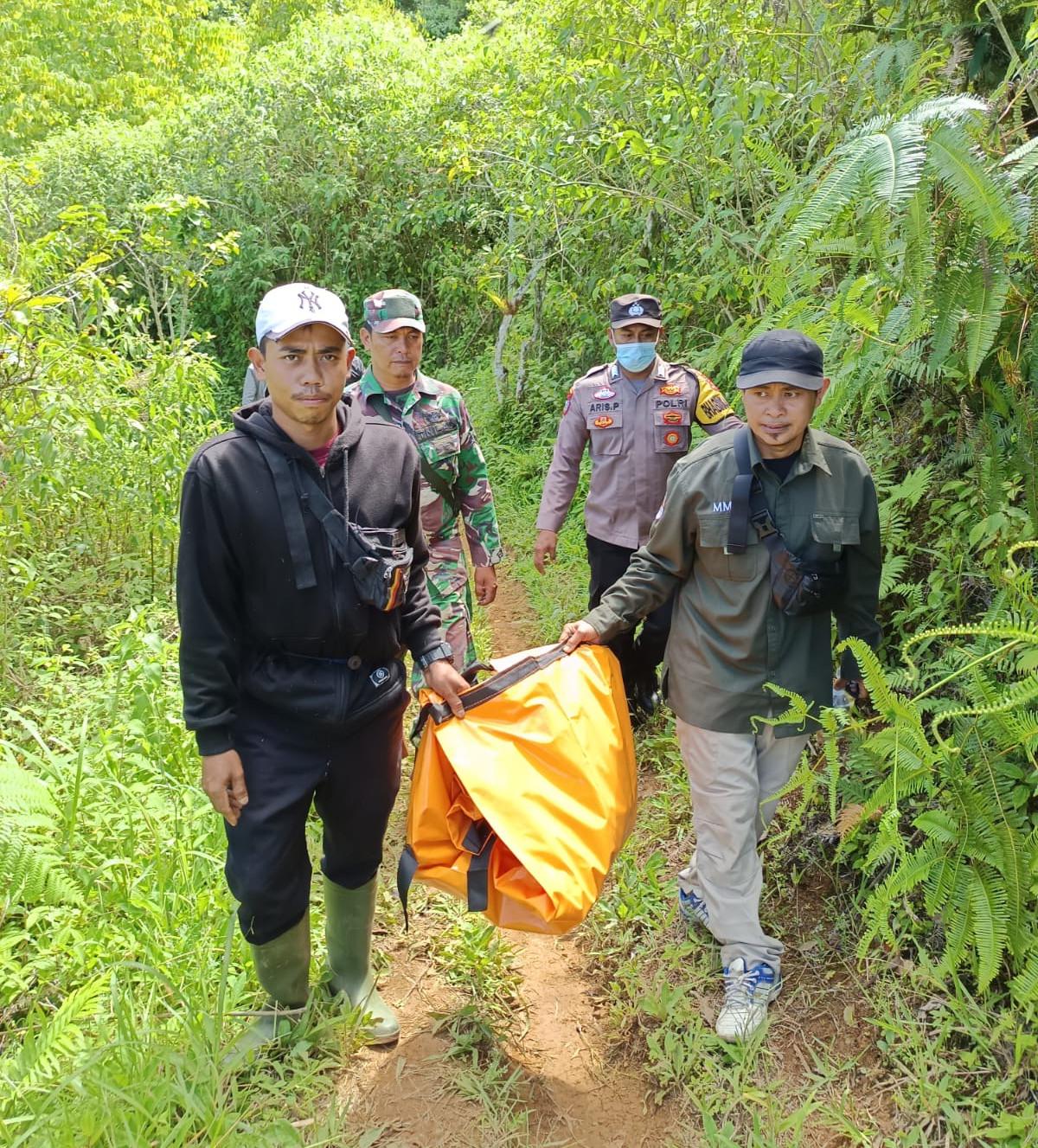 pria tewas diterkam harimau