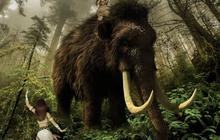 Satu-Satunya di Dunia, Ilmuwan Temukan Fosil Tengkorak Leluhur Gajah Berusia 7,5 Juta Tahun
