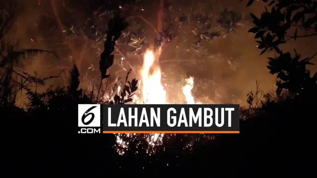 Sudah satu pekan ini kobaran api yang membakar lahan gambut di Jalan Hiu Putih, Palangka Raya, Kalimantan Tengah belum bisa dipadamkan secara tuntas.