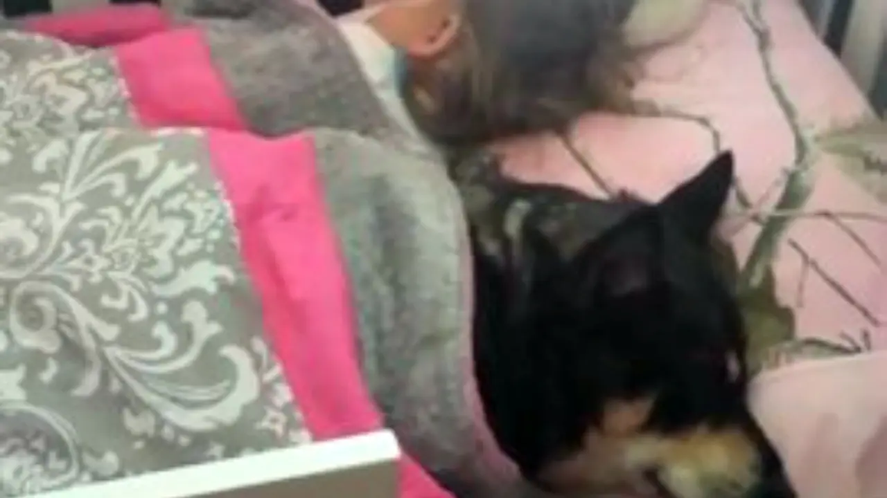 Dikira Hilang, Anjing Ini Ditemukan Tidur Bersama Balita