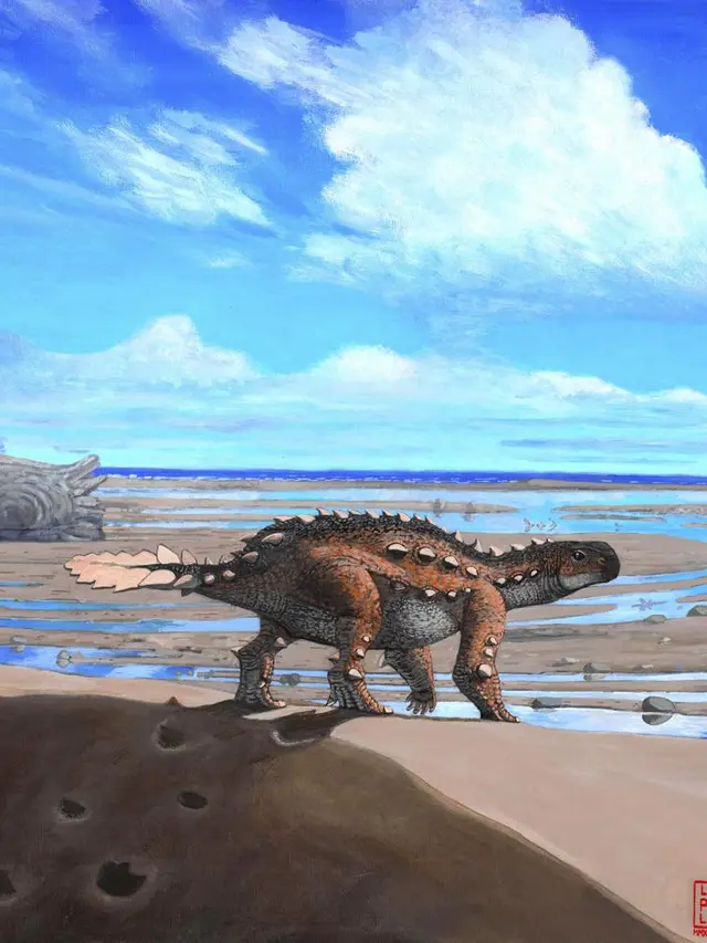 Stegouros