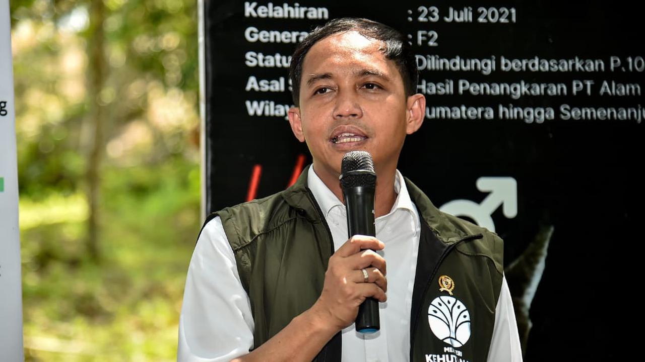 Jalankan Perintah Prabowo, Menhut Ancam Cabut Izin Pemanfaatan Hutan Swasta Tak Patuh