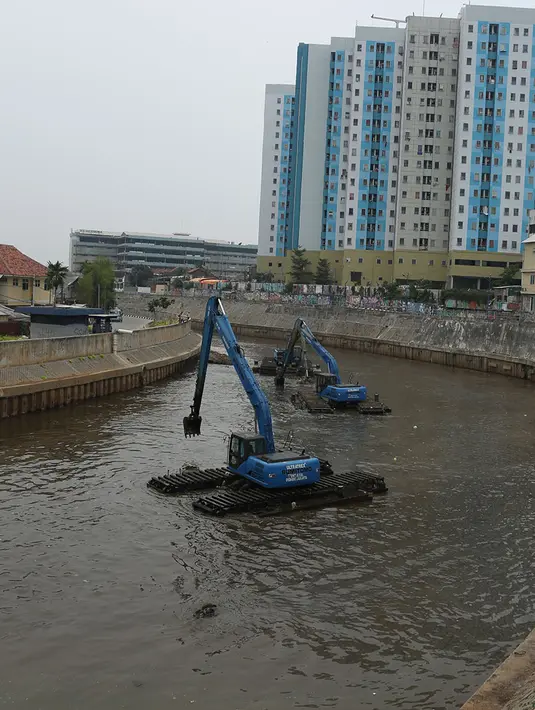 Alat berat mengangkat endapan material lumpur dan sampah di Kali Ciliwung, Jakarta Timur, Kamis (18/10). Pengerukan lumpur dilakukan untuk antisipasi datangnya banjir saat musim hujan. (Merdeka.com/Imam Buhori)