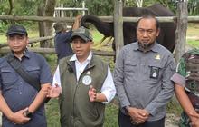 Profil Raja Juli Antoni, Menteri yang Bakal Dipanggil DPR Terkait Banjir dan Longsor di Sumatera