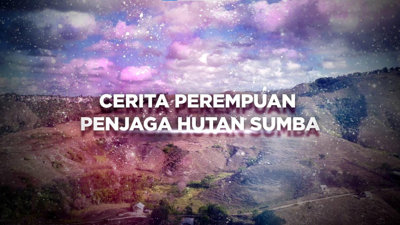 Berani Berubah: Tekad Kuat Penjaga Hutan Sumba