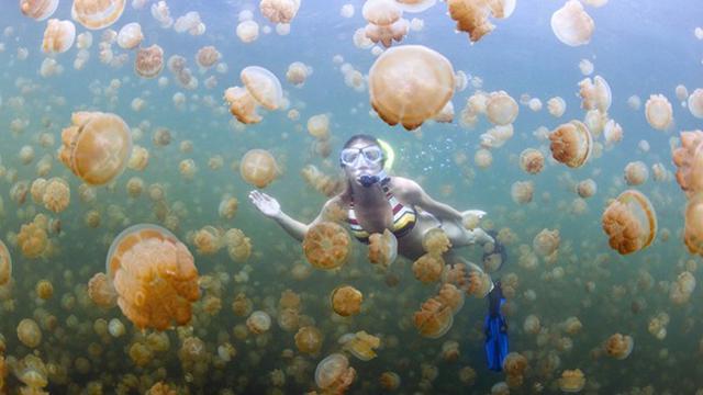 10 Tempat Wisata Di Kalimantan Timur Yang Terkenal Alamnya Menakjubkan Hot Liputan6 Com