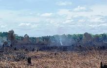 Miris, Kebakaran Hutan dan Lahan di Aceh Barat Capai 34,1 Hektare