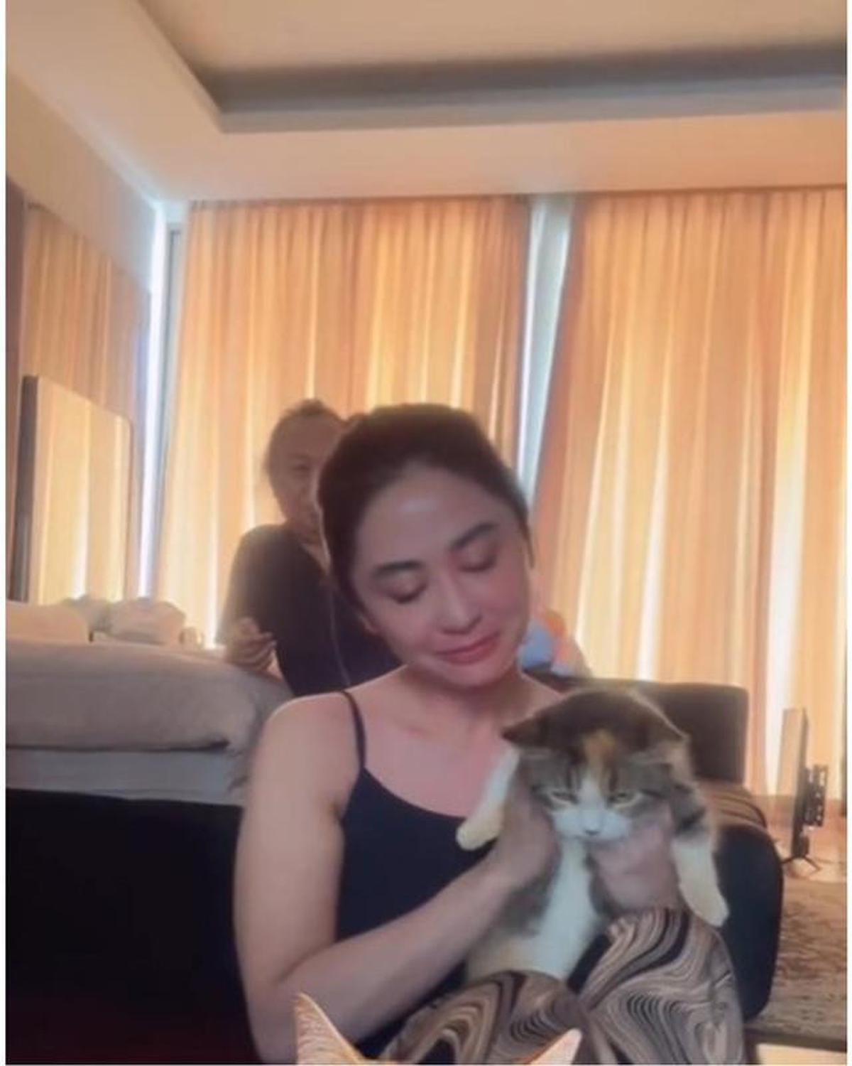 6 Potret Dewi Perssik Rawat Kucing Eko Patrio yang Selamat Pasca Penjarahan Rumah