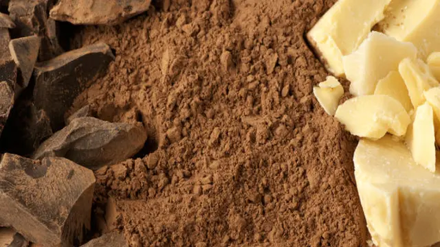 Cocoa Butter