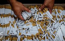 Guru Besar Jelaskan Aturan Pemerintah dan Permenkes Mengatur Penyeragaman Kemasan Rokok
