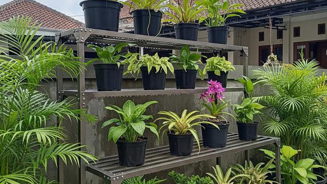 8 Model Rak Tanaman Bertingkat di Pekarangan Rumah yang Tahan Cuaca