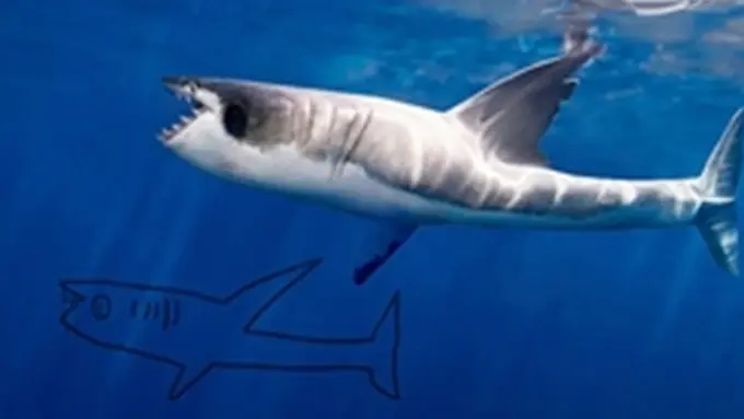 Foto: copyright Boredpanda.com