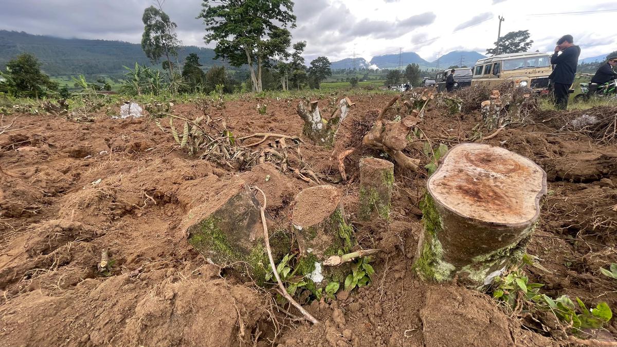 Perusakan Kebun Teh