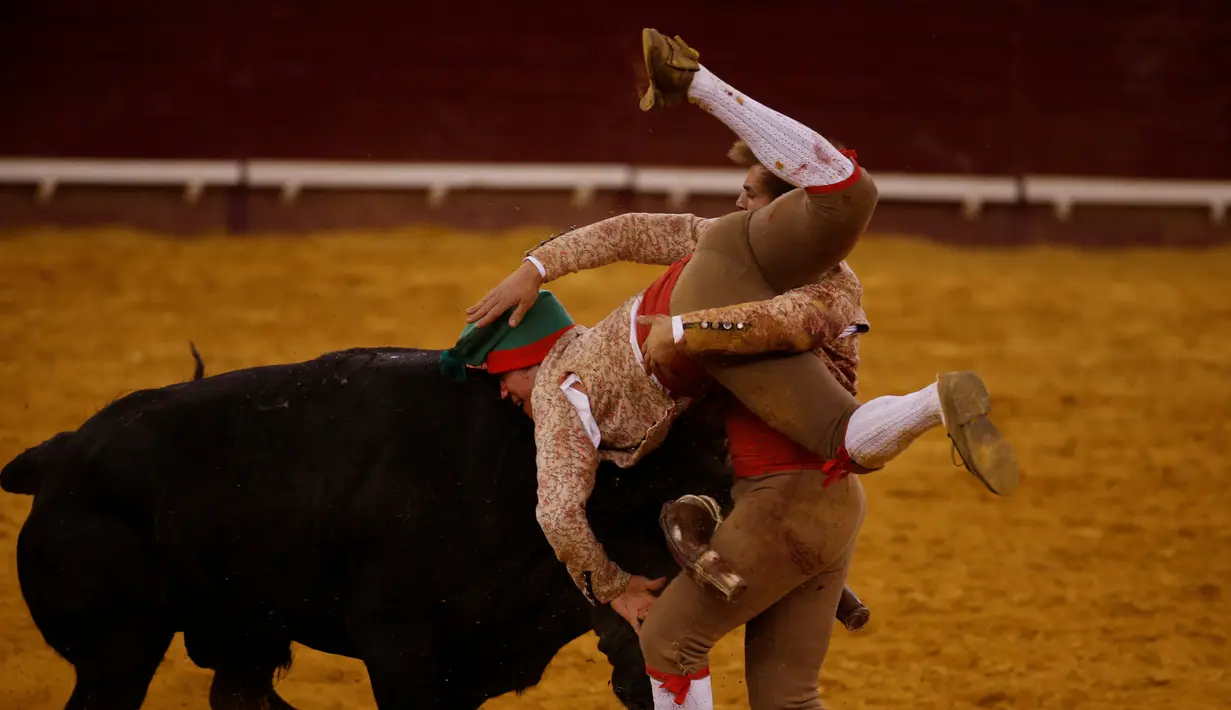 Tim Coruche Forcados berusaha menaklukkan seekor banteng yang mengamuk di arena Campo Pequeno, Lisbon, Portugal, (2/6/2016). Forcados masih menggunakan cara tradisional Portugal menangkap banteng tanpa bantuan alat. (REUTERS/Rafael Marchante)