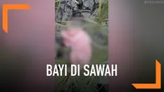 Seorang bayi baru lahir berjenis kelamin perempuan ditemukan warga di tengah sawah. Bayi itu nyaris tewas karena ditemukan hampir tak bernapas.