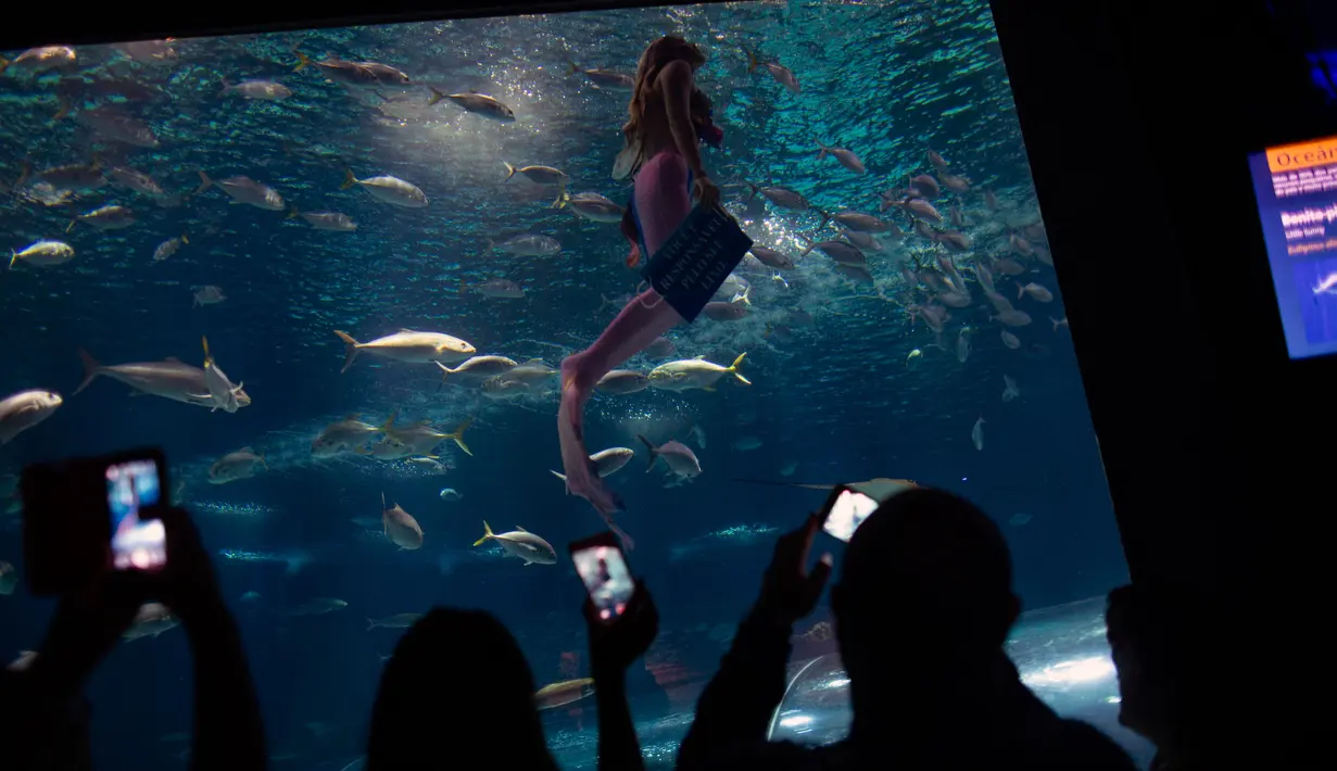 Sejumlah pengunjung mengabadikan aksi mahasiswi biologi laut Isabela Cardoso berenang seperti putri duyung memprotes bahaya pencemaran laut dalam kehidupan laut di Rio de Janeiro di AquaRio, Brasil (14/1). (AFP Photo/Mauro Pimentel)