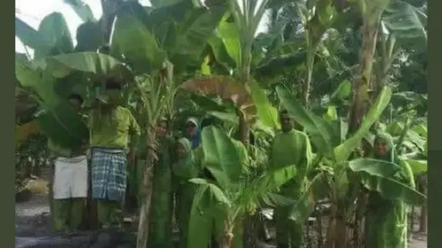 6 Outfit Absurd Pakai Daun Pisang Ini Kelewat Kreatif, Kocak Maksimal