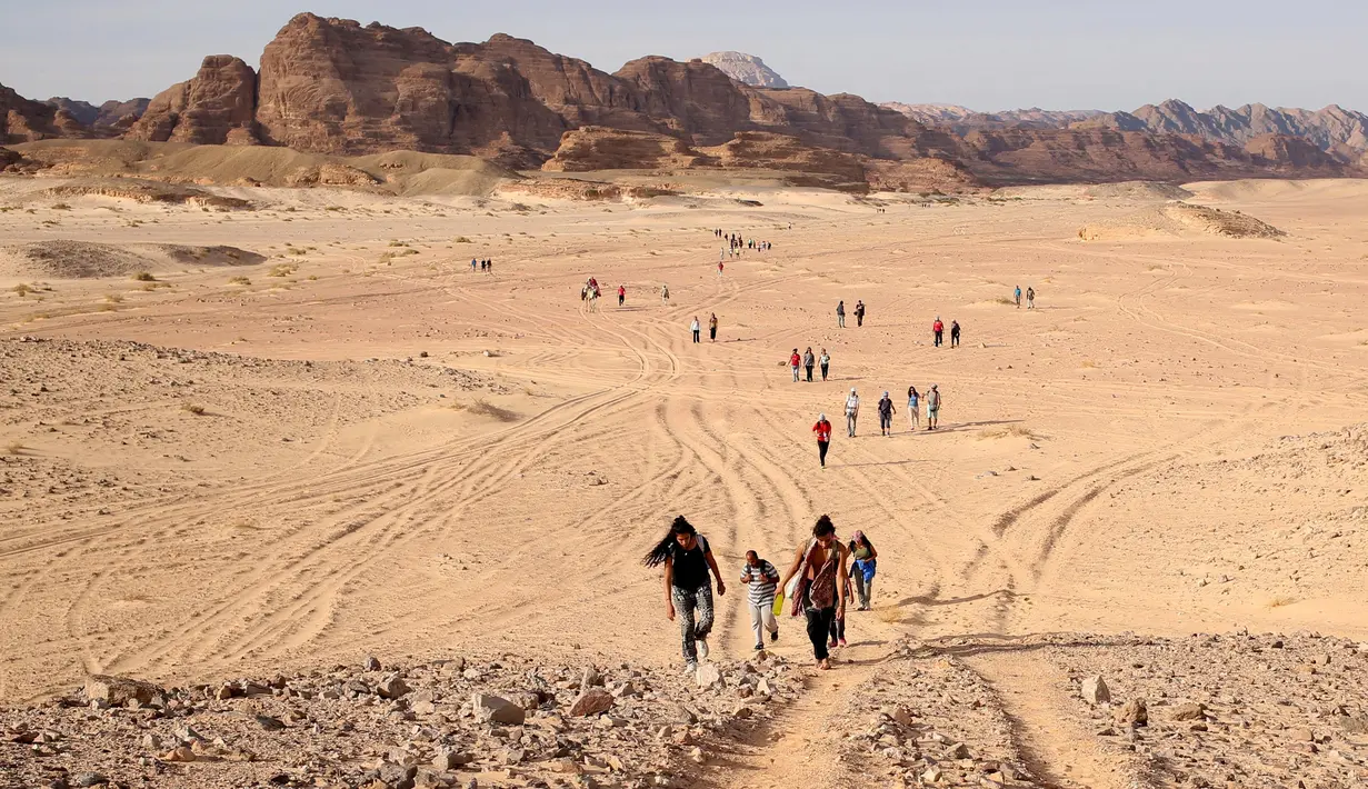Para wisatawan berjalan melalui daerah Wadi Hudra dekat Ras Ghazala, Sinai Selatan, Mesir, (20/11). Kunjungan ini diikuti oleh 100 orang yang melakukan perjalanan hingga 25 km   . (REUTERS/Asmaa Waguih)