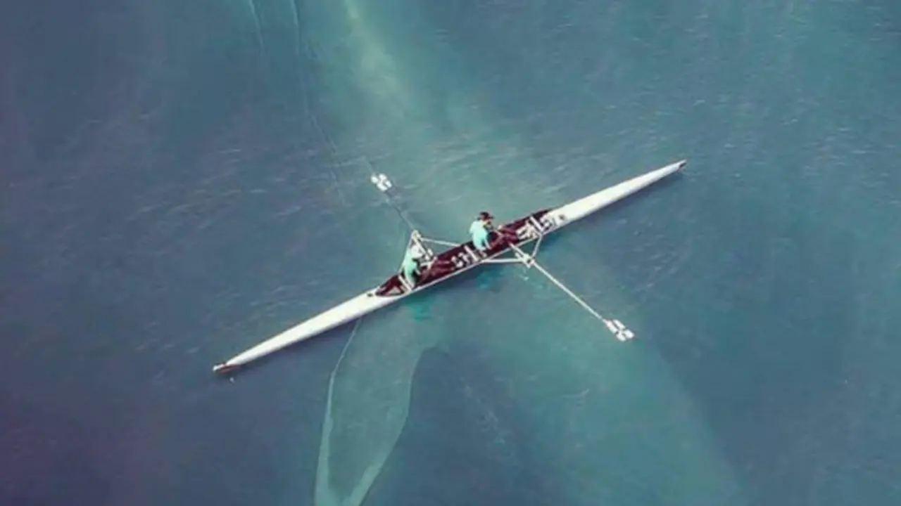 Phobia Berlebihan Melihat Laut? Mungkin Anda Thalassophobia
