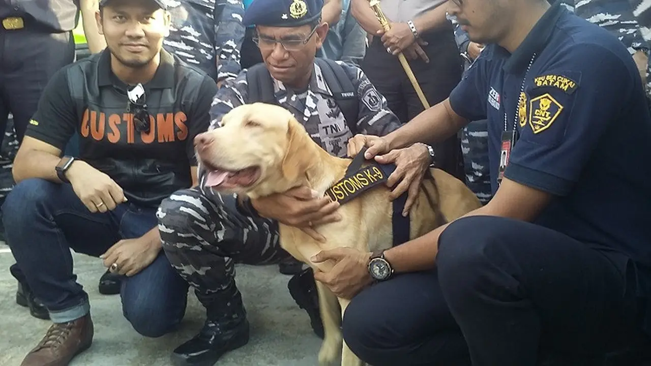 Anjing Pelacak Penemu 1 ton sabu