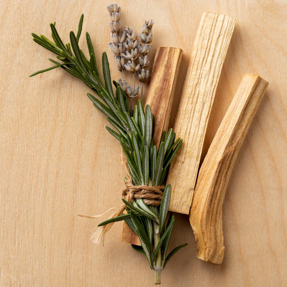 Ilustrasi Cedarwood (©Freepik)
