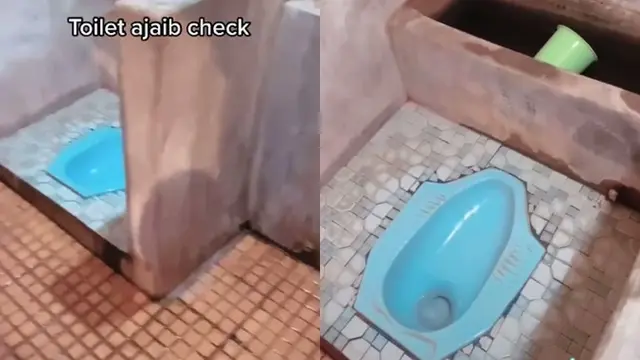 Viral Posisi Kloset Antimainstream Ini Bikin Warganet Mikir Keras