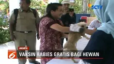 Pemprov DKI Jakarta memberikan vaksin gratis bagi hewan penular rabies. Kegiatan tersebut digelar serentak di lima kota wilayah ibu kota, termasuk Jakarta Utara.