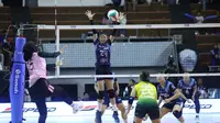 Petrokimia Gresik Pupuk Indonesia mengakhiri final four Livoli Divisi Utama 2025 dengan sempurna. Tim asuhan Ayub Hidayat mengalahkan Rajawali O2C 3-0 (25-14, 25-17, 25-16) pada laga penutup di GOR Ki Mageti, Magetan, Kamis (16/10) malam.&nbsp;(foto: PBVSI)