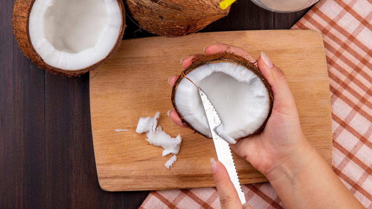 Ilustrasi Daging Kelapa