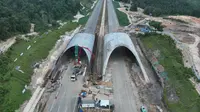 Di IKN Bakal Ada Jembatan Khusus Satwa