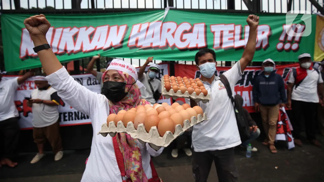 Tuntut Kenaikan Harga Telur, Peternak Ayam Demo di Gedung DPR