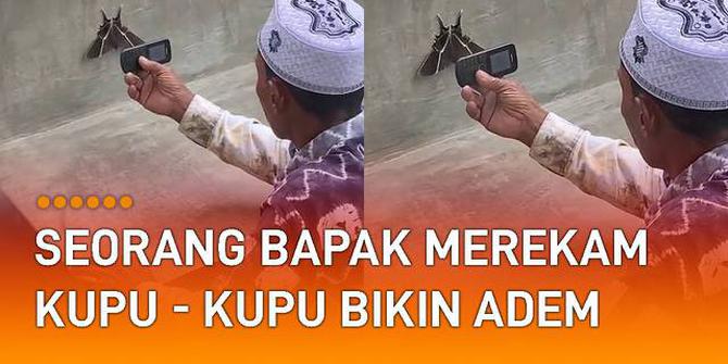 VIDEO: Gunakan Hape Jadul, Seorang Bapak Merekam Kupu-Kupu Bikin Adem