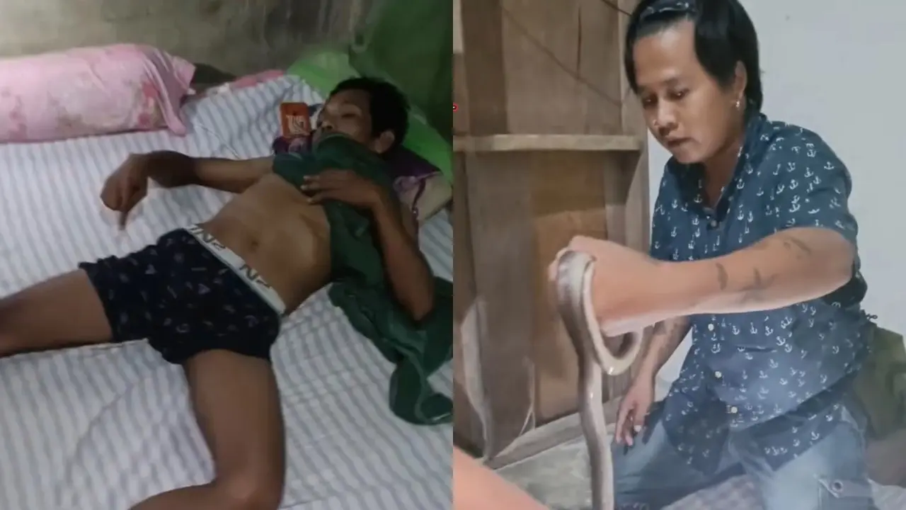 Ular Kobra Masuk ke Celana Dalam