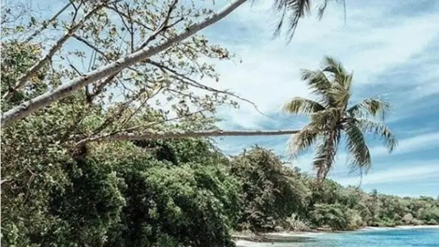 Pulai Sikuai